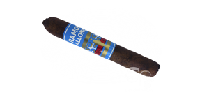 Foundry Ramon Allones 550 robusto cigar